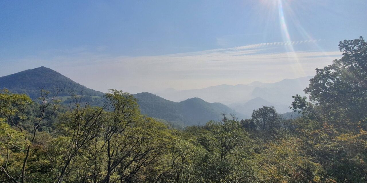https://www.consorzioeuganeo.com/wp-content/uploads/2026/10/copertina-1280x640.jpg